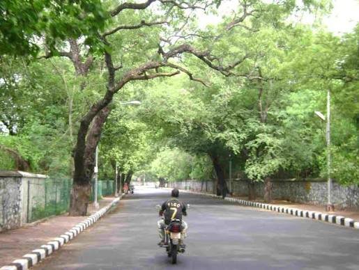 Besant Nagar Chennai